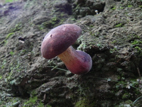 e0352220_21535824.jpg