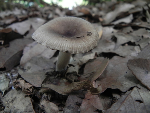 e0352220_21590792.jpg