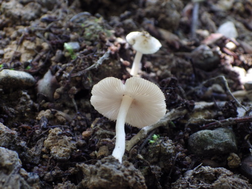 e0352220_22012442.jpg