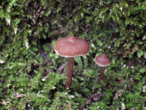 e0352220_22043001.jpg