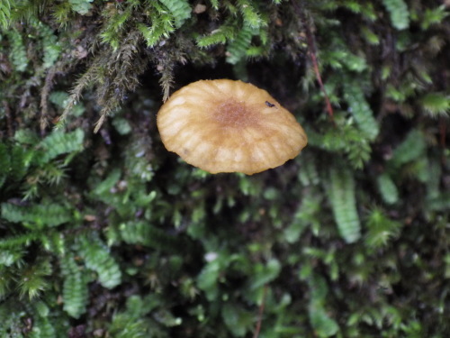 e0352220_22071657.jpg