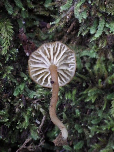 e0352220_22080885.jpg