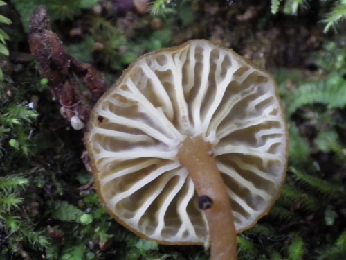 e0352220_22083779.jpg
