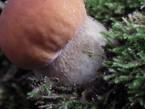 e0352220_22175672.jpg