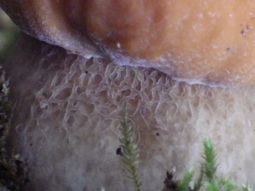 e0352220_22185848.jpg