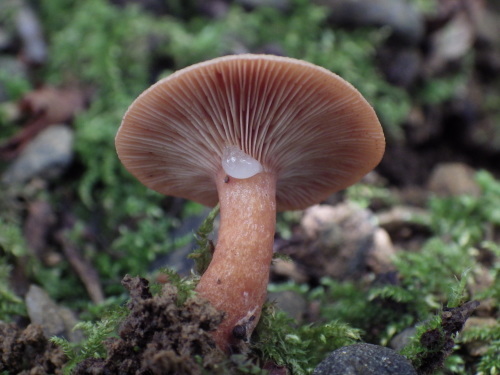 e0352220_22261012.jpg