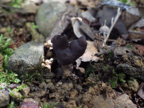 e0352220_22271729.jpg