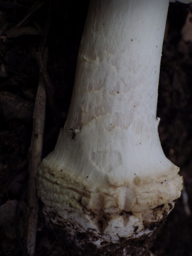 e0352220_22302434.jpg