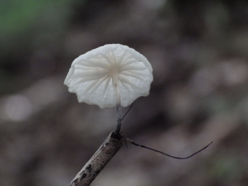 e0352220_22561727.jpg