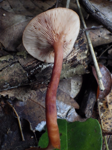 e0352220_22573385.jpg