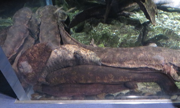 c0280322_15075363.jpg