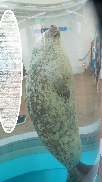 c0280322_15111353.jpg