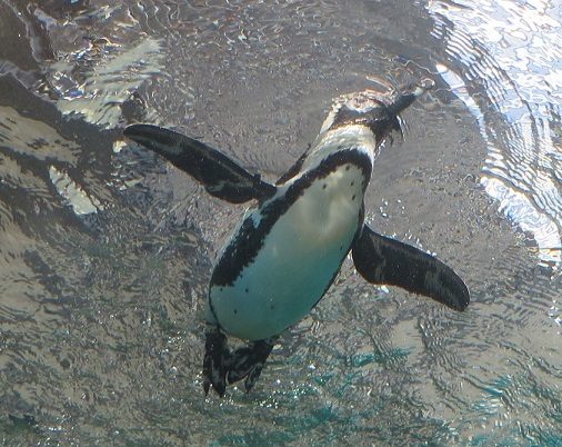 c0280322_15122097.jpg