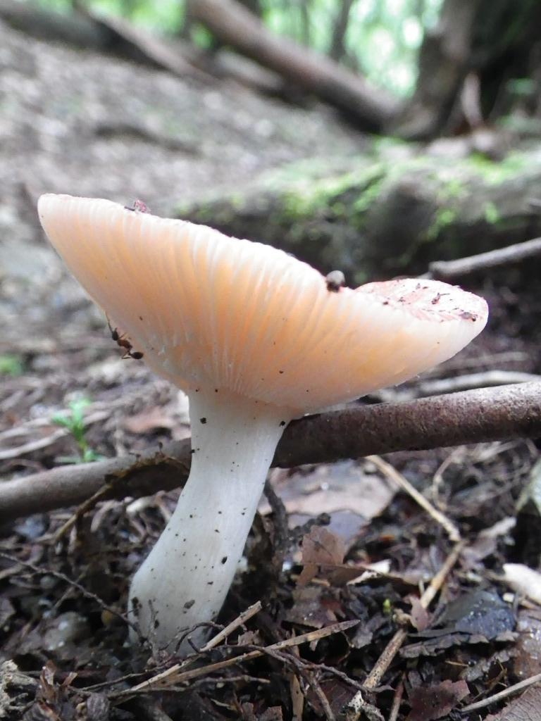 c0189724_2137544.jpg