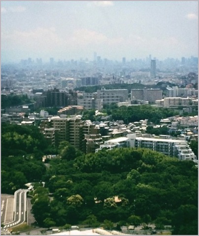 d0017632_23360847.jpeg