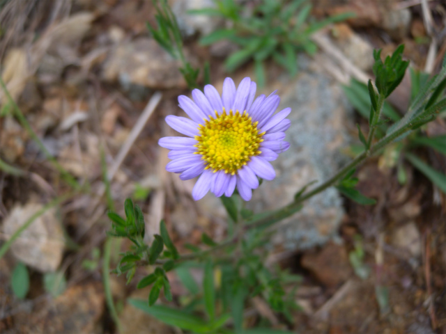 e0272335_17572889.jpg