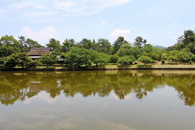 a0242438_19222220.jpg