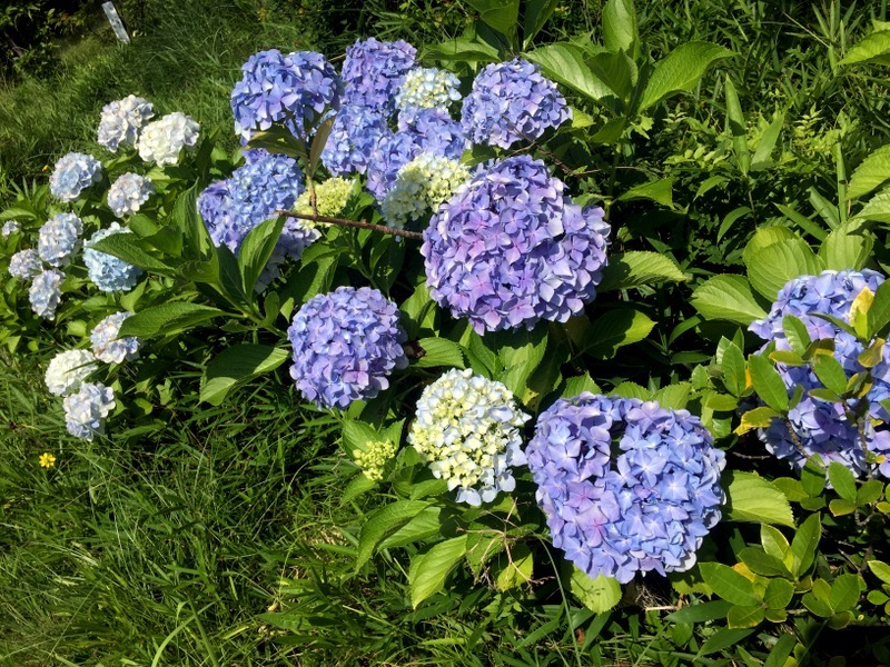 b0057140_16510224.jpg