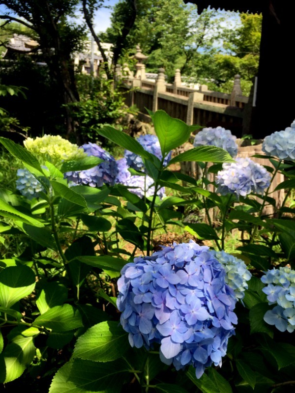 b0057140_16513725.jpg
