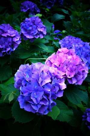 a0027641_20103850.jpg