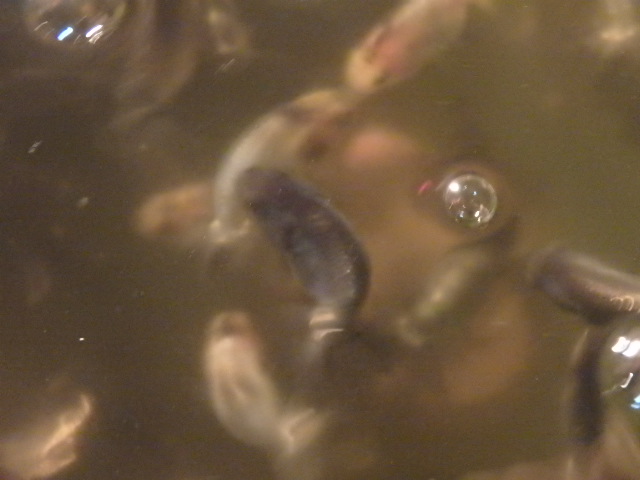 f0334143_20491889.jpg