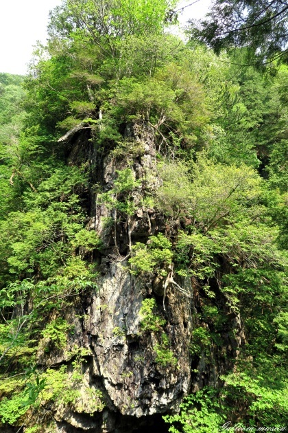f0351853_03061337.jpg