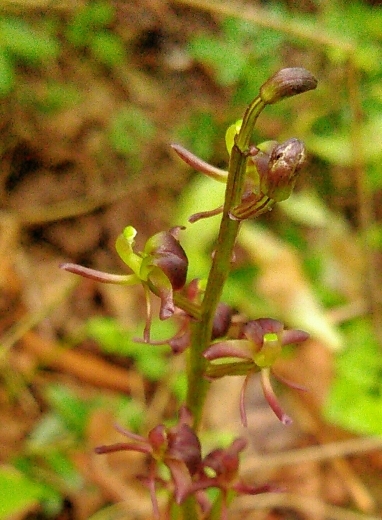 a0018655_14035678.jpg