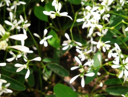 a0018655_14074717.jpg