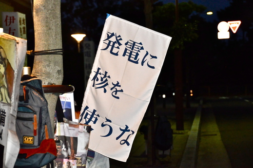 b0242956_1643884.jpg