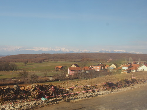 c0351060_12412683.jpg