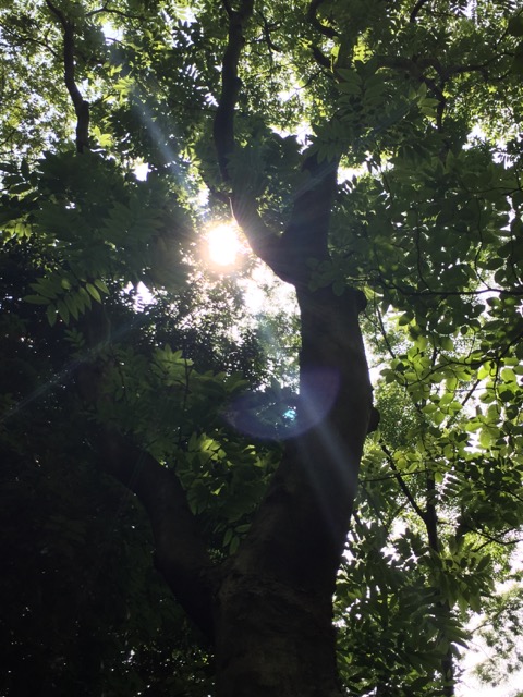 c0008664_2227547.jpg