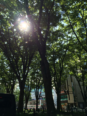 c0050264_1524726.jpg