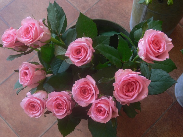 e0140986_11111877.jpg
