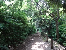 d0183387_23135942.jpg