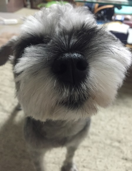 b0188998_23150206.jpeg