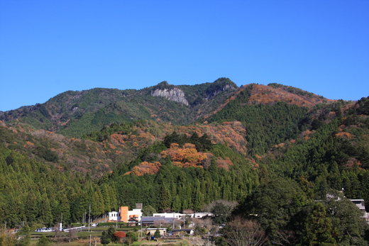 b0049200_1413183.jpg