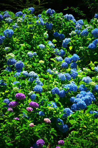 a0263109_13325477.jpg