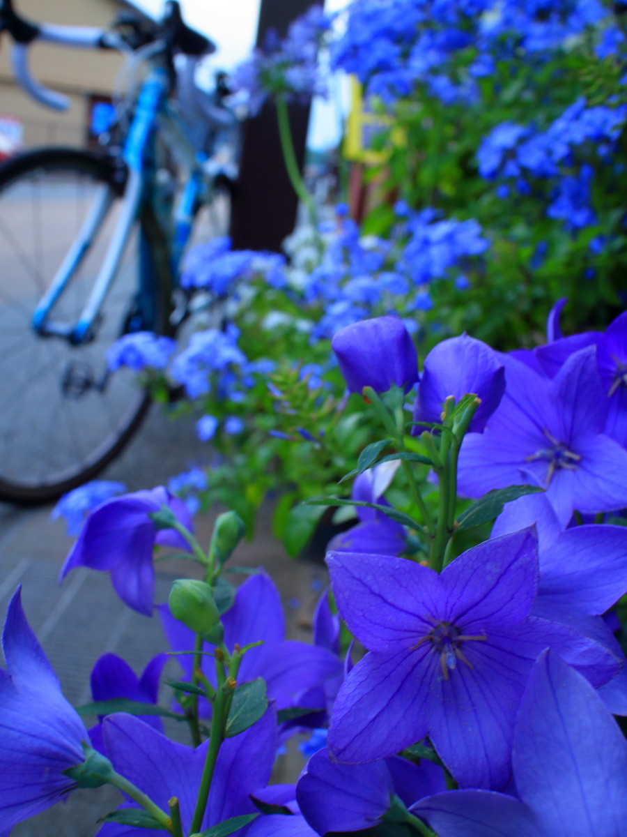 e0009009_10215151.jpg