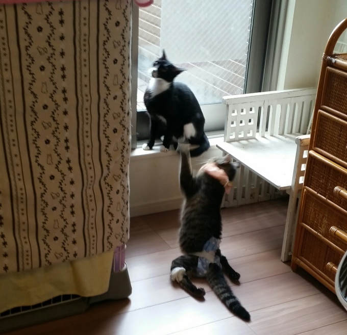 e0144012_17473640.jpeg
