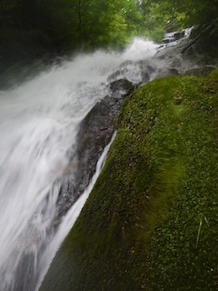 c0359615_19180262.jpg
