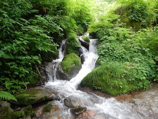 c0359615_19181182.jpg
