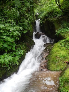 c0359615_19181830.jpg