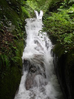 c0359615_19182800.jpg