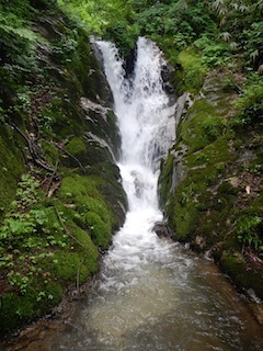 c0359615_19184245.jpg