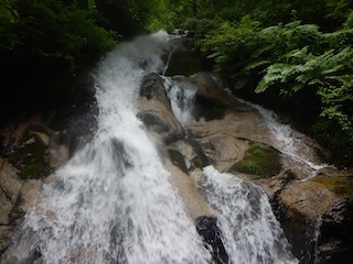 c0359615_19192186.jpg