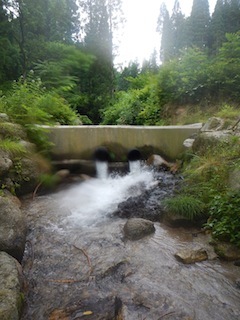 c0359615_19205806.jpg