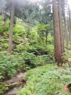 c0359615_19211002.jpg