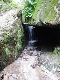 c0359615_19212092.jpg