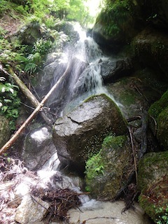 c0359615_19214550.jpg