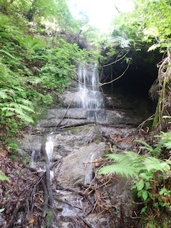 c0359615_19220964.jpg
